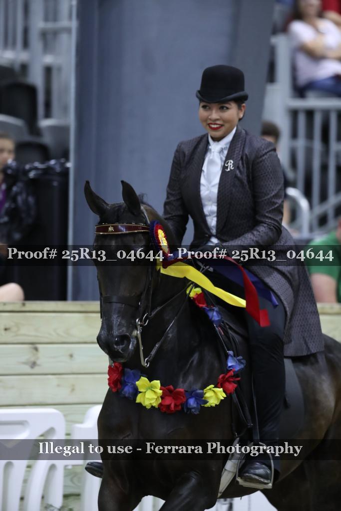 Proof Number 25R13_04644