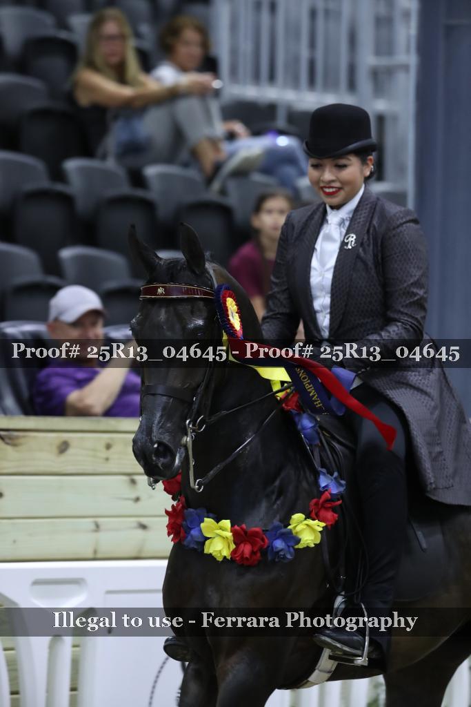 Proof Number 25R13_04645