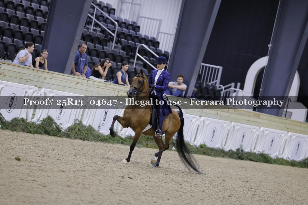 Proof Number 25R13_04647