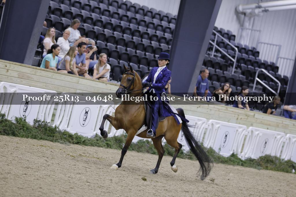 Proof Number 25R13_04648
