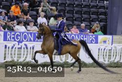 25R13_04650 thumbnail