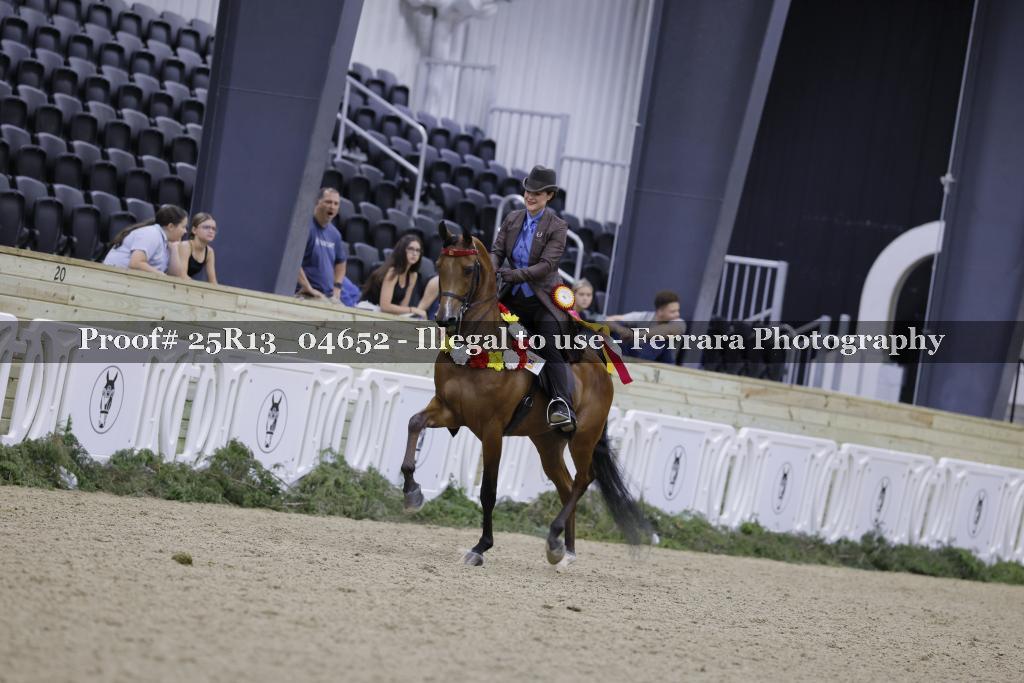 Proof Number 25R13_04652