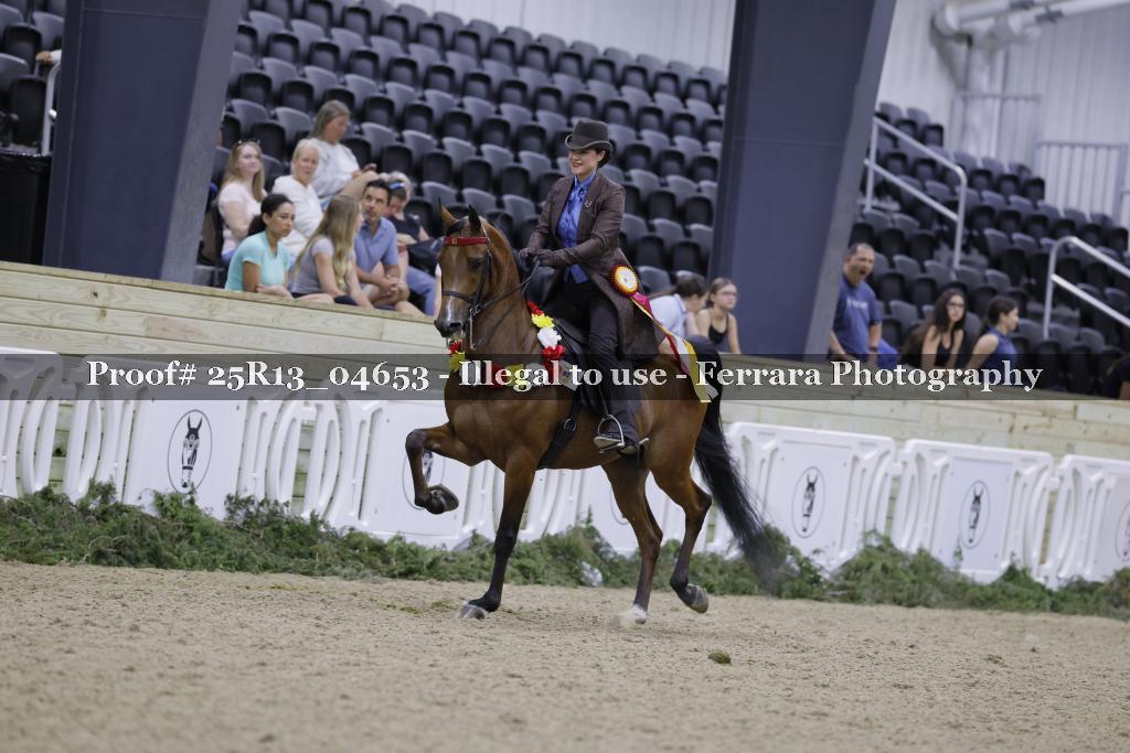 Proof Number 25R13_04653