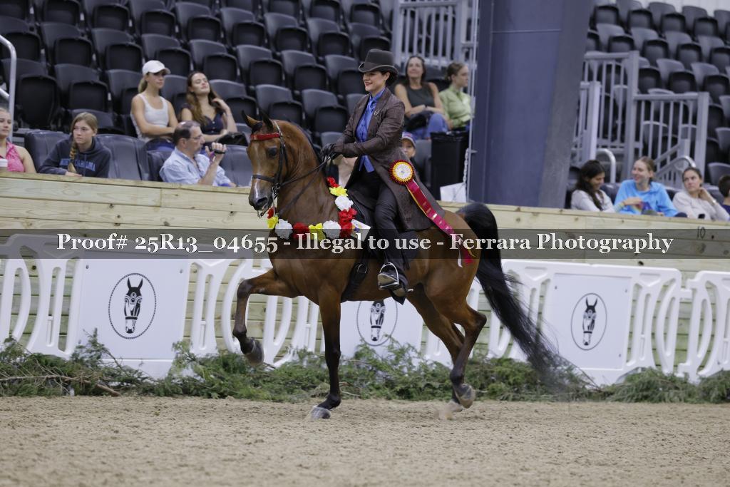 Proof Number 25R13_04655