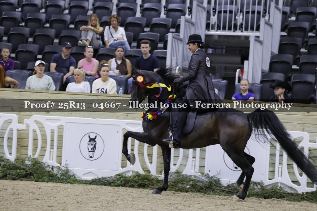 Proof Number 25R13_04667