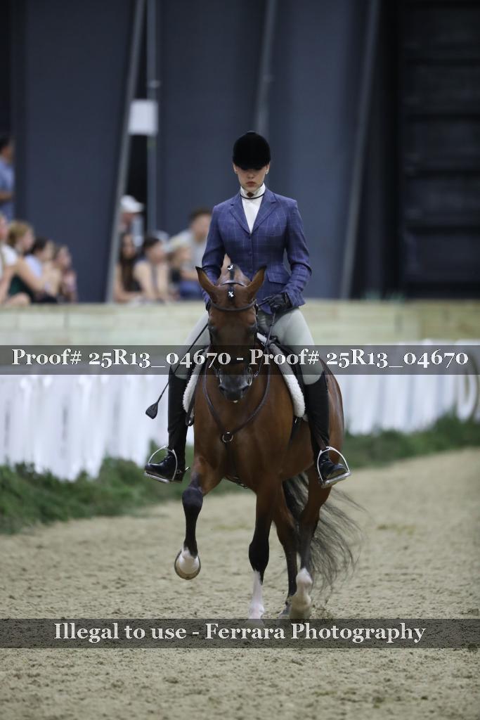 Proof Number 25R13_04670