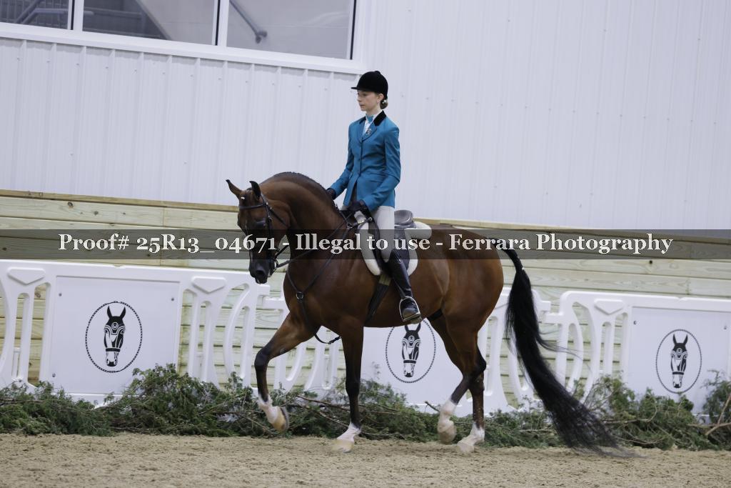 Proof Number 25R13_04671