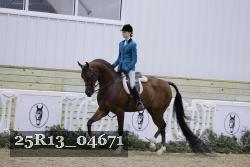 25R13_04671 thumbnail