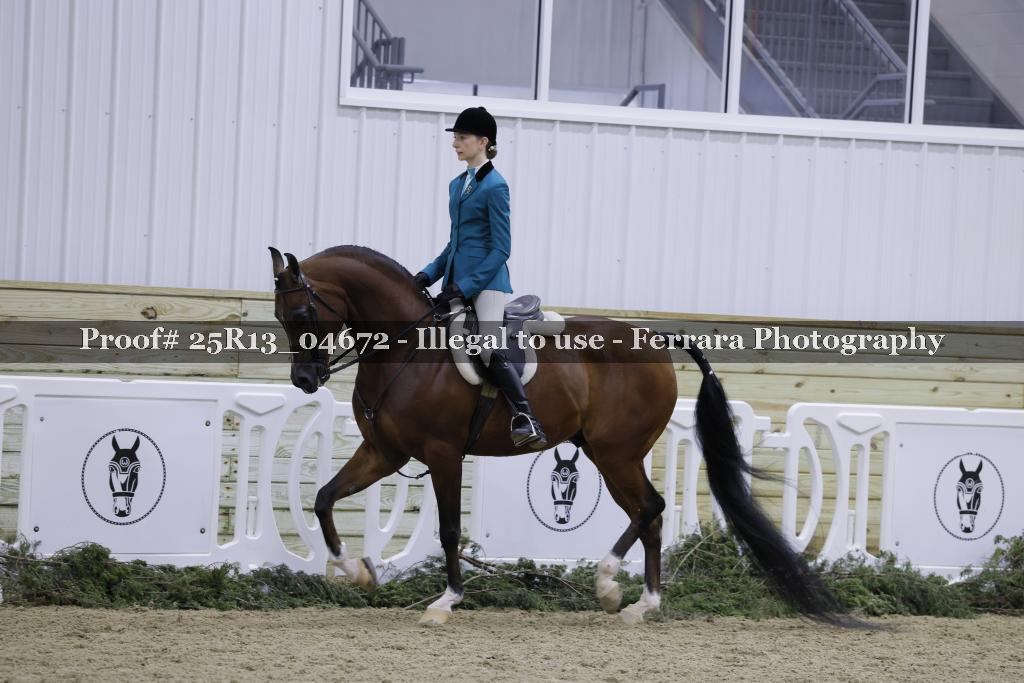 Proof Number 25R13_04672