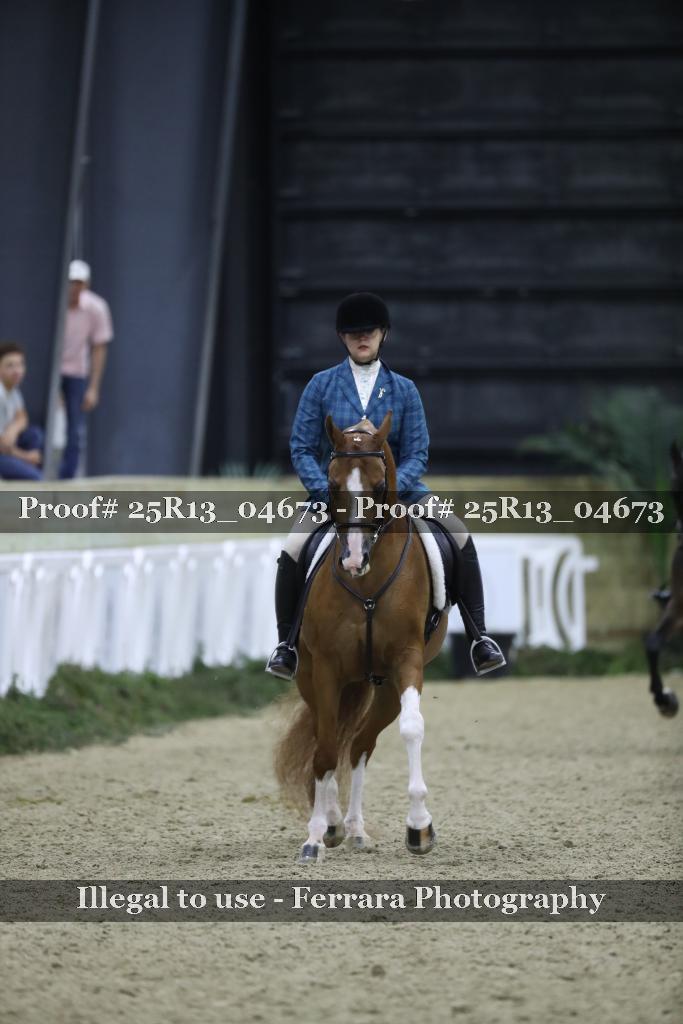 Proof Number 25R13_04673