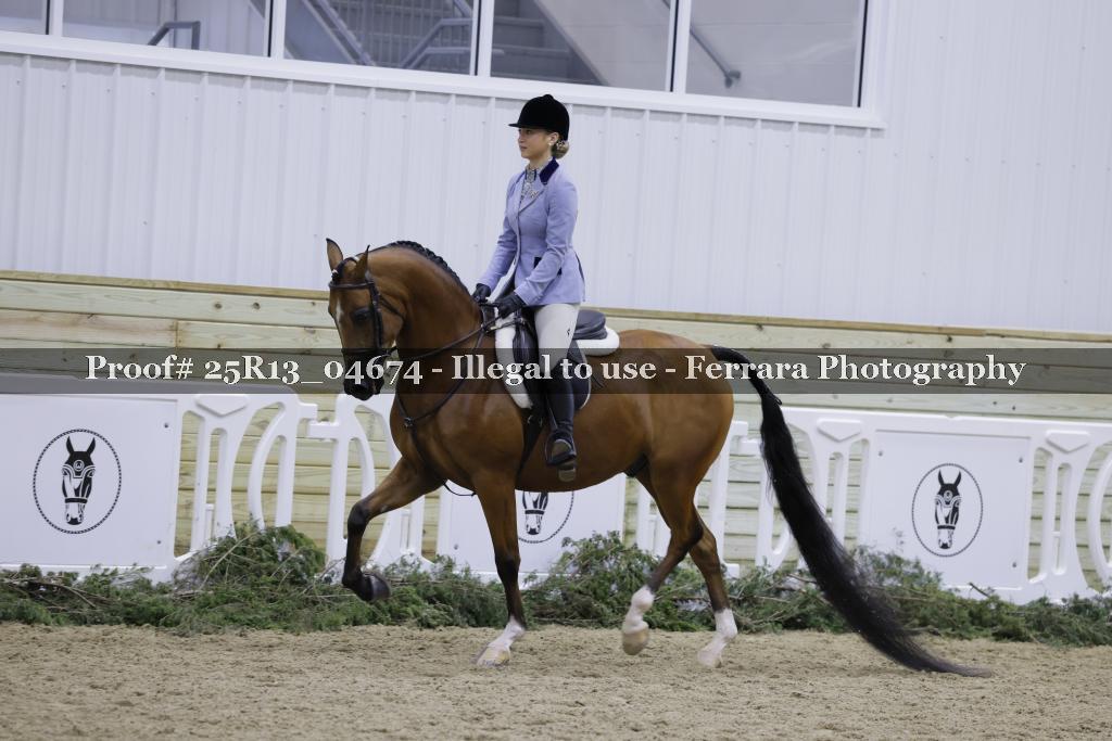Proof Number 25R13_04674