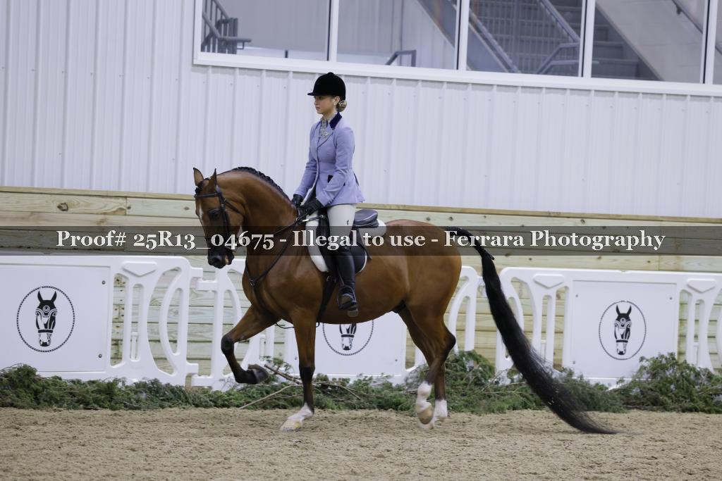 Proof Number 25R13_04675