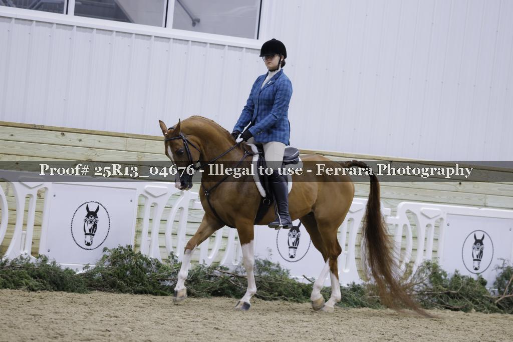 Proof Number 25R13_04676