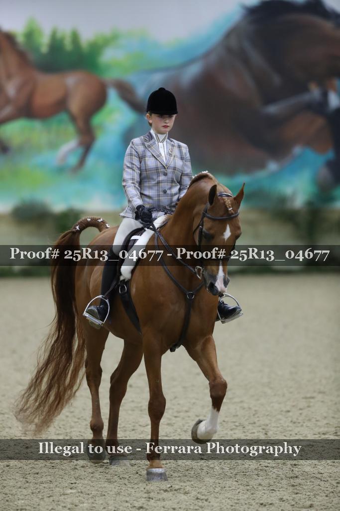 Proof Number 25R13_04677
