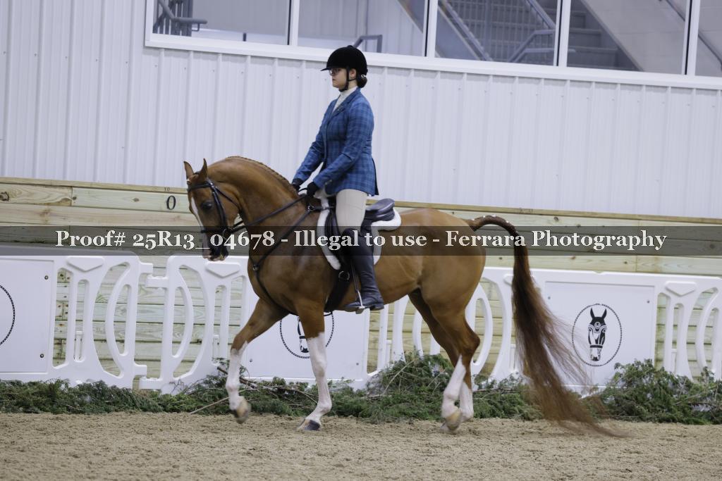Proof Number 25R13_04678