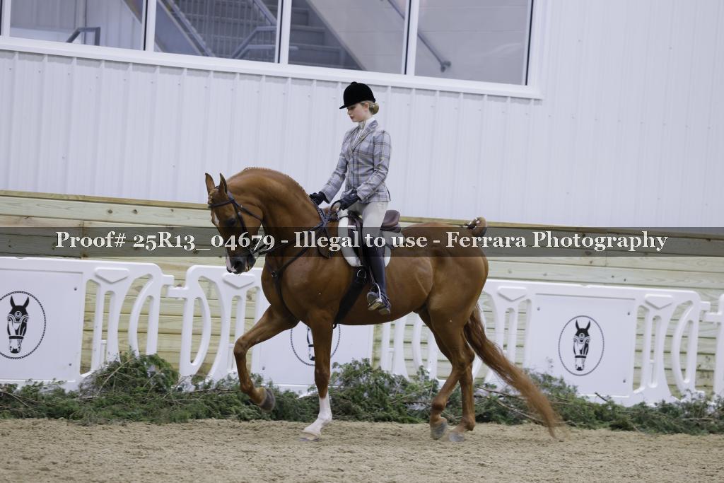 Proof Number 25R13_04679