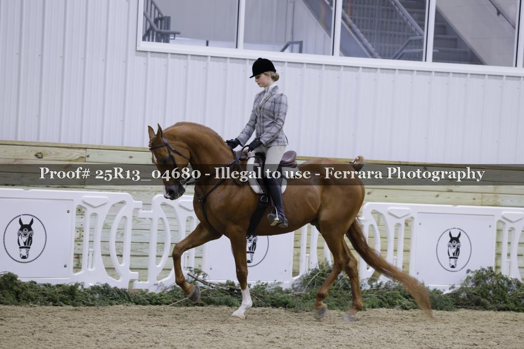 Proof Number 25R13_04680