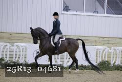 25R13_04681 thumbnail