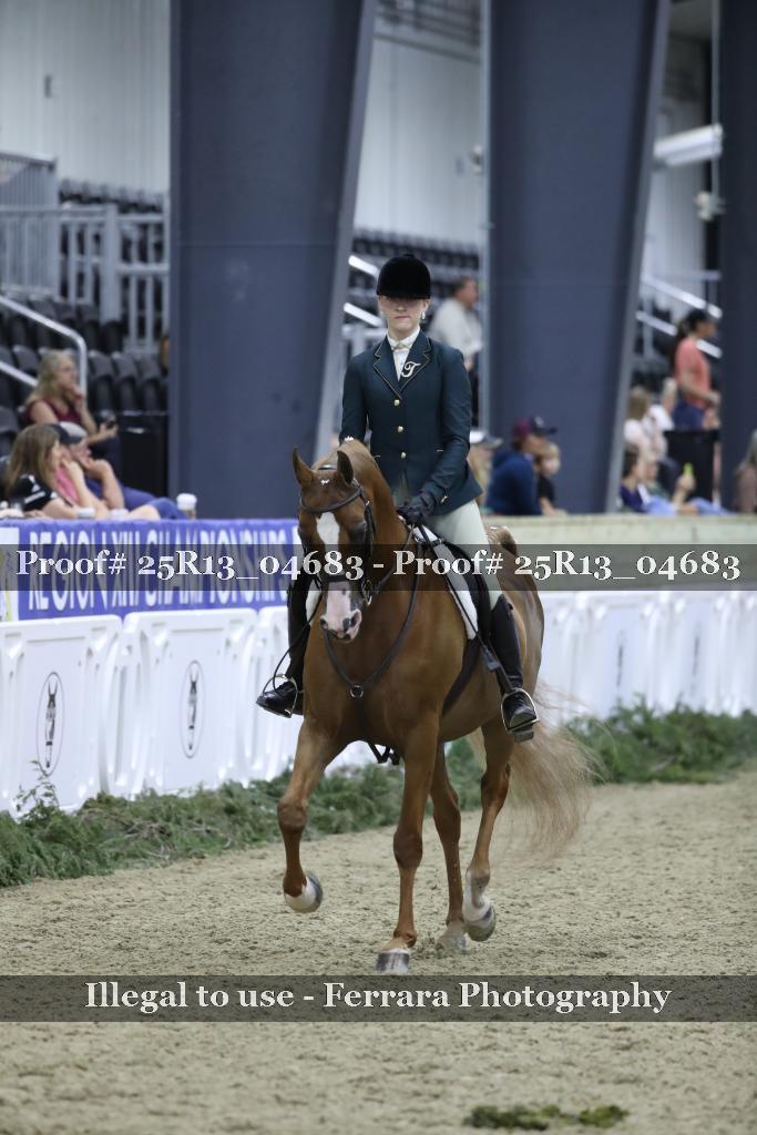 Proof Number 25R13_04683