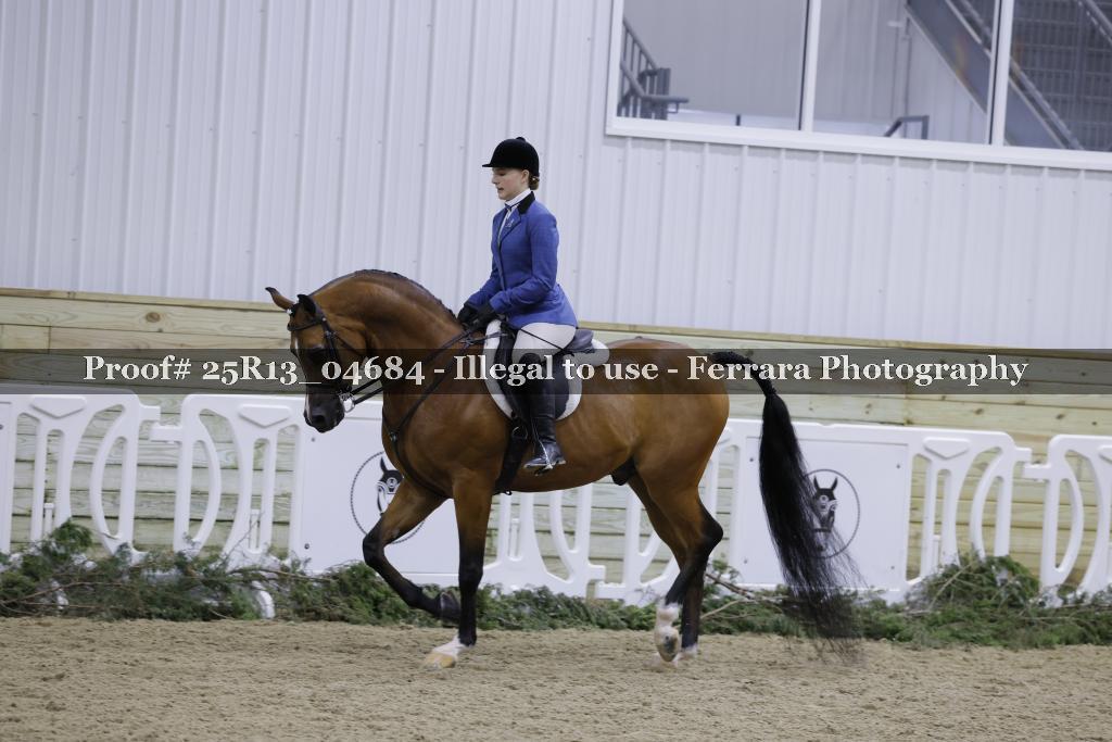 Proof Number 25R13_04684