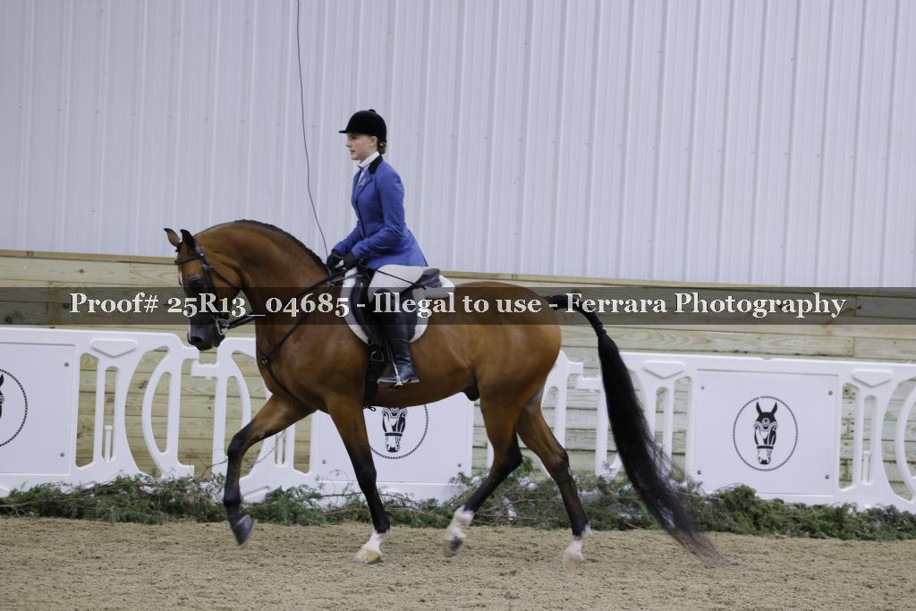 Proof Number 25R13_04685