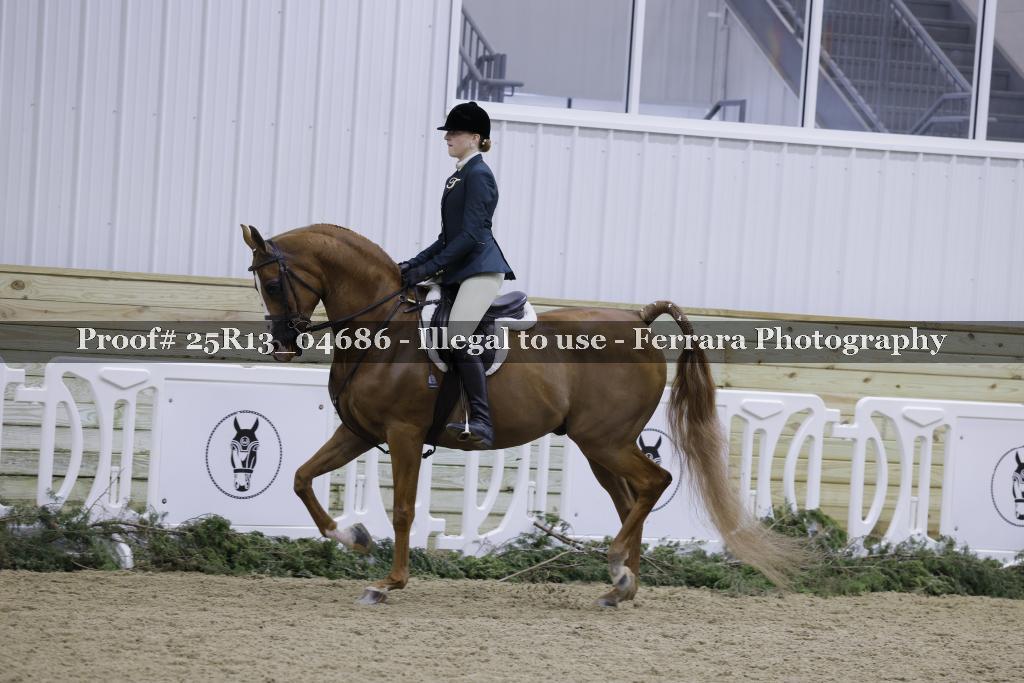 Proof Number 25R13_04686