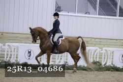 25R13_04686 thumbnail