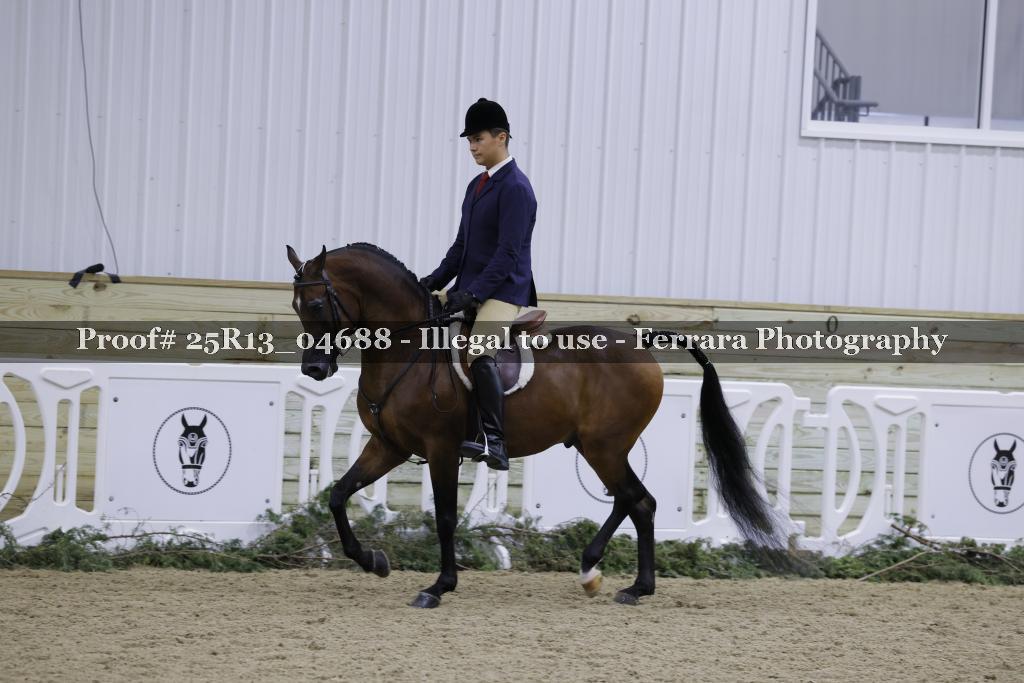 Proof Number 25R13_04688