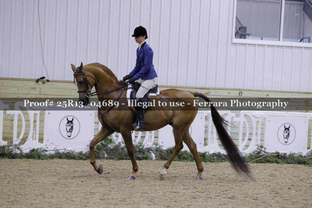 Proof Number 25R13_04689