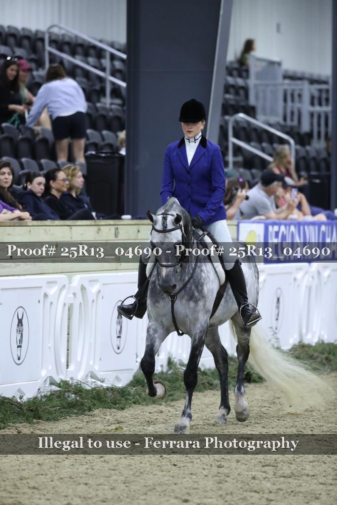 Proof Number 25R13_04690