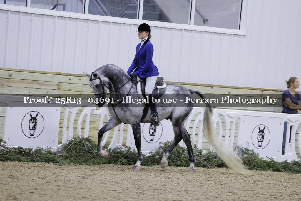 Proof Number 25R13_04691