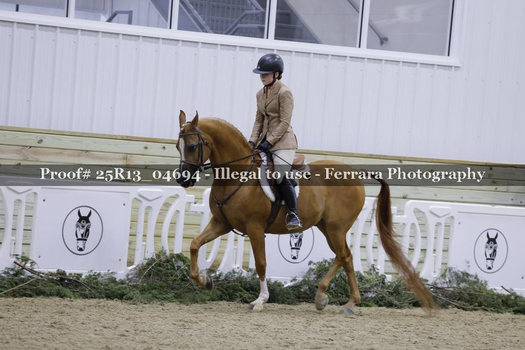 Proof Number 25R13_04694
