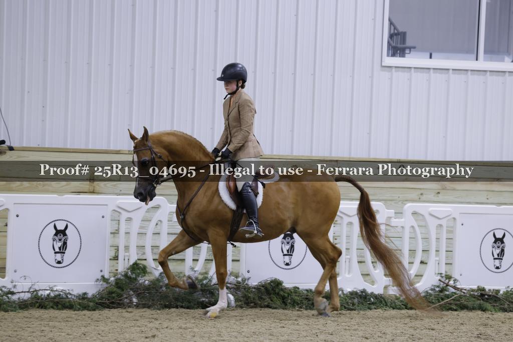 Proof Number 25R13_04695