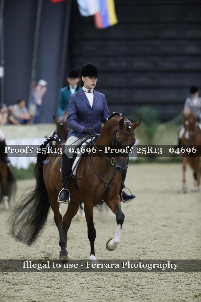 Proof Number 25R13_04696
