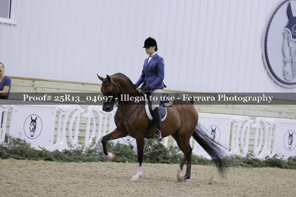 Proof Number 25R13_04697