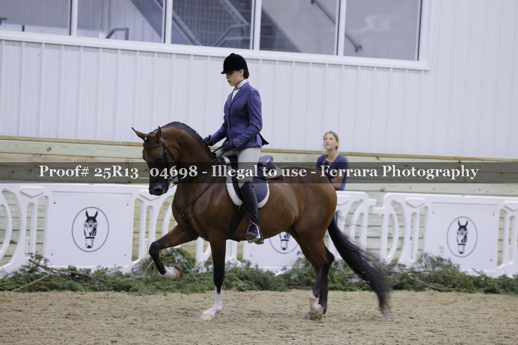 Proof Number 25R13_04698