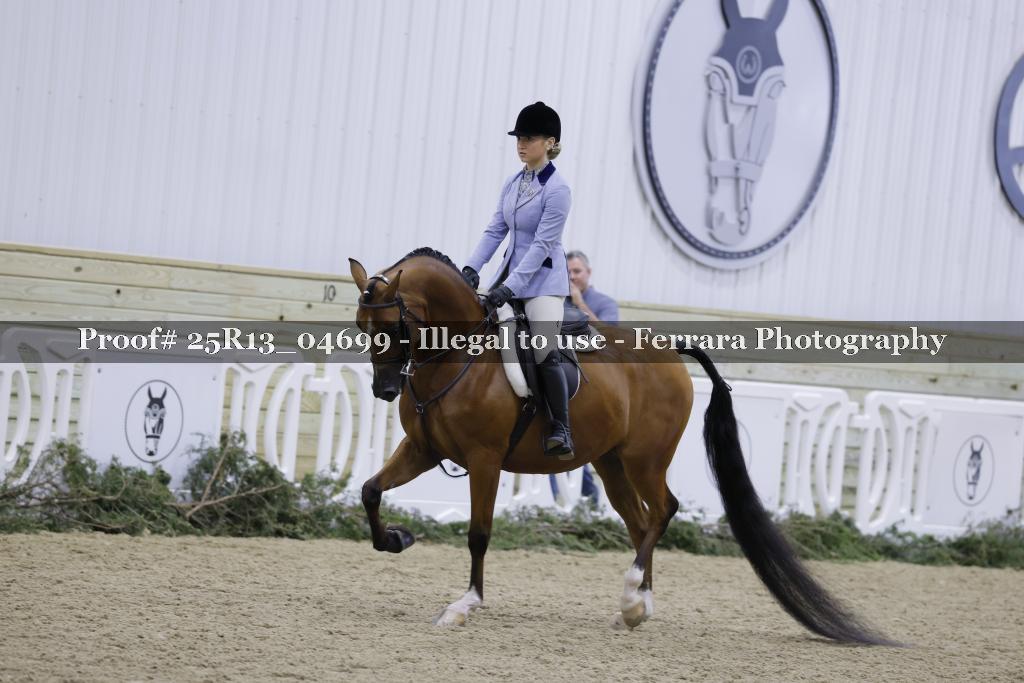 Proof Number 25R13_04699