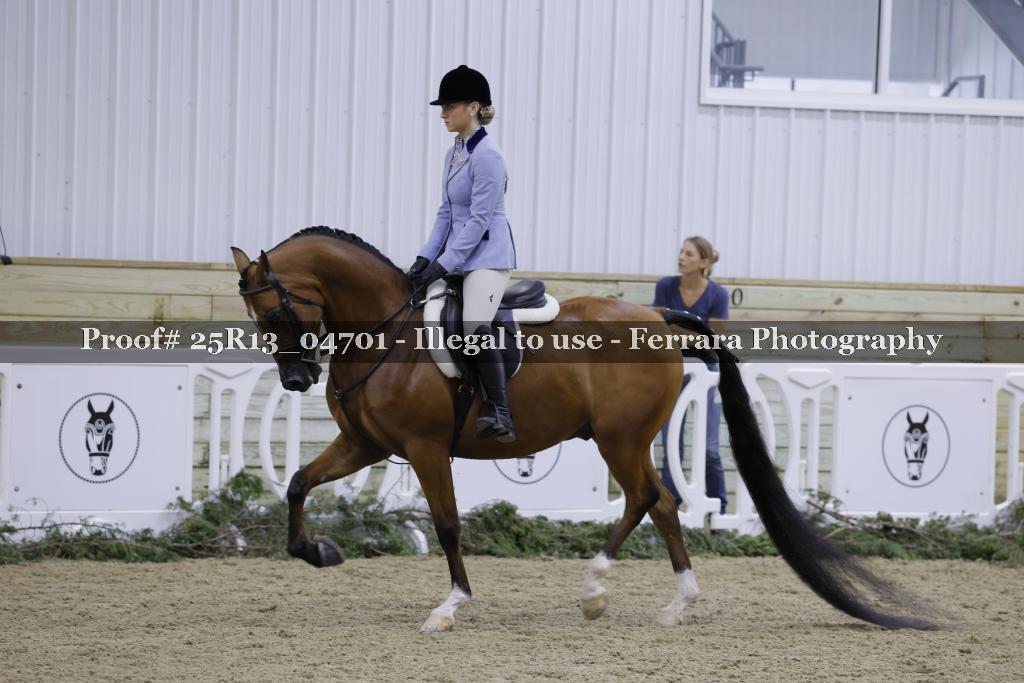 Proof Number 25R13_04701