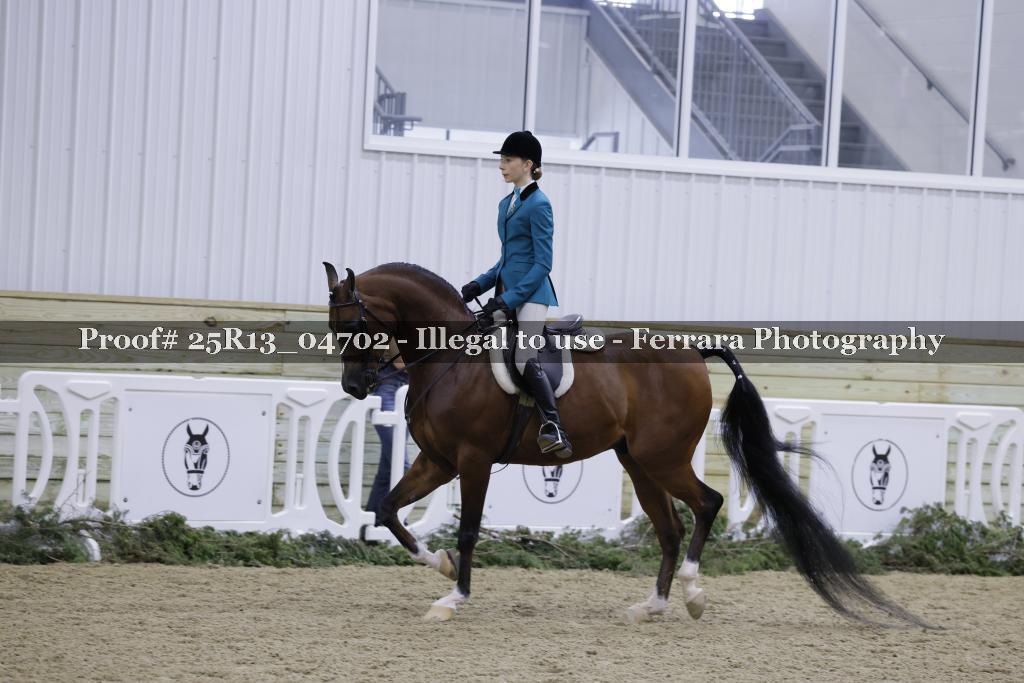 Proof Number 25R13_04702