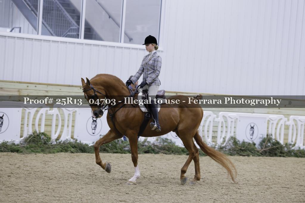 Proof Number 25R13_04703