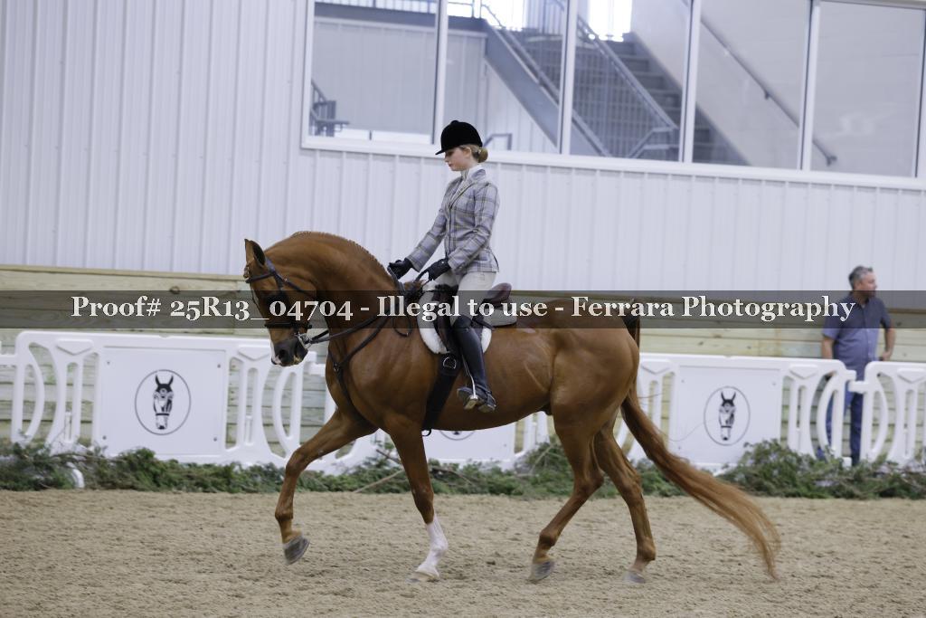 Proof Number 25R13_04704