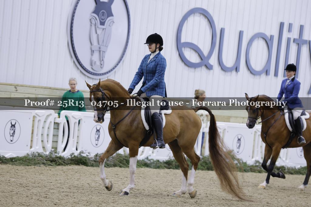 Proof Number 25R13_04705