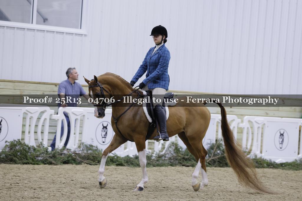 Proof Number 25R13_04706