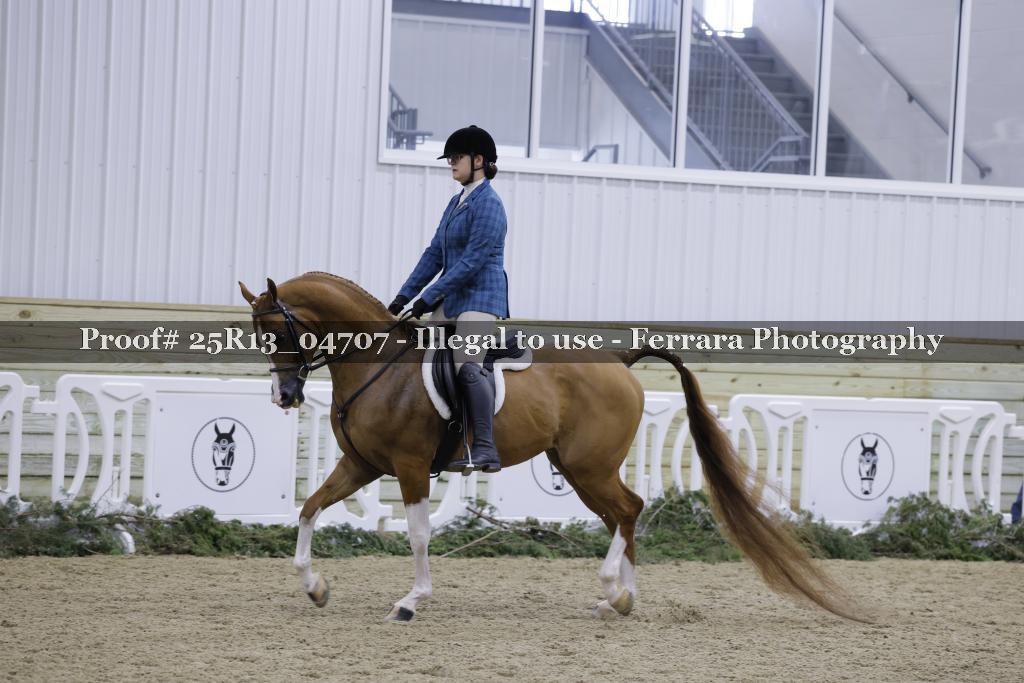 Proof Number 25R13_04707