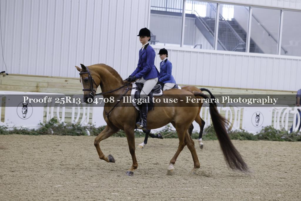 Proof Number 25R13_04708
