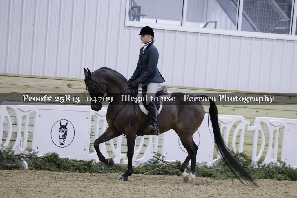 Proof Number 25R13_04709