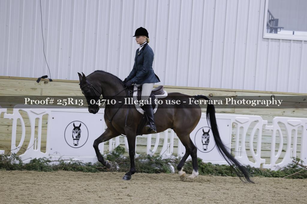 Proof Number 25R13_04710
