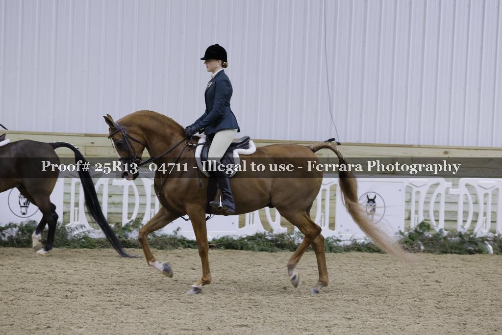 Proof Number 25R13_04711