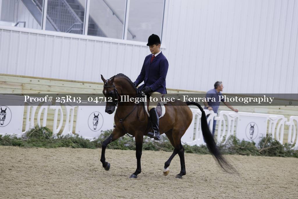 Proof Number 25R13_04712