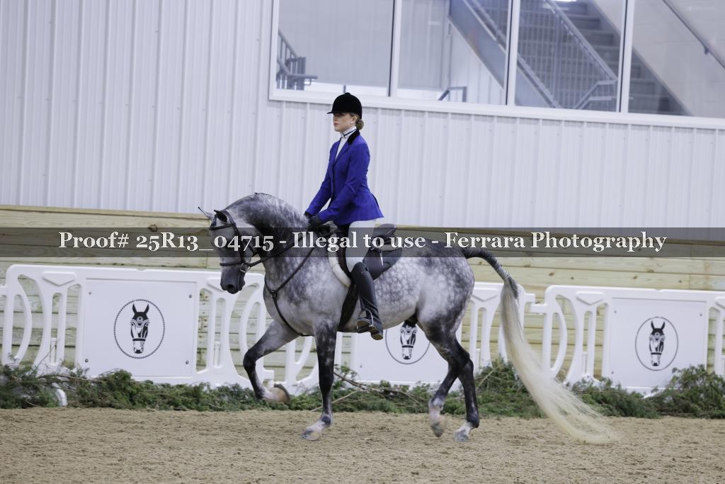 Proof Number 25R13_04715